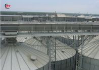 Grain Silo Distribution Silo Chain Conveyor /Warehouse Chain Conveyor