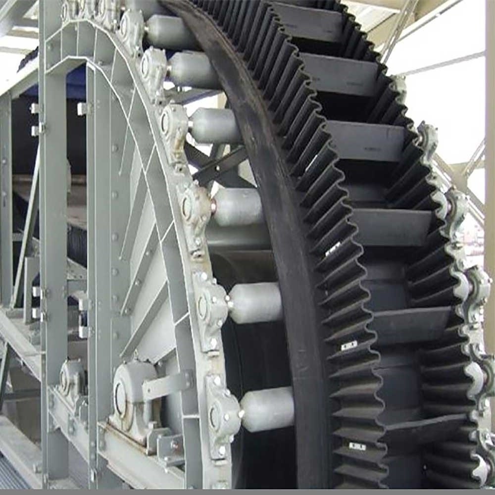 China belt conveyor machine for anto manure removal system